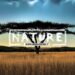 Cover di Nature per Mondoserie