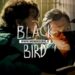 Cover di Black Bird per Mondoserie