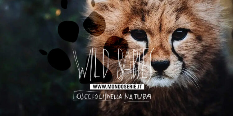 Cover di Wild Babies per Mondoserie