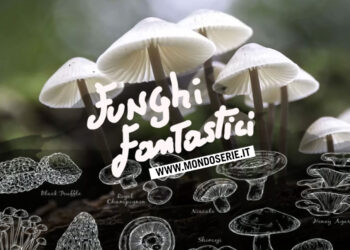 Cover di Funghi fantastici per Mondoserie